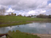 ForumRunner_20120505_123251.png