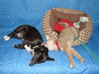 DSC07130.JPG