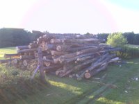 logs 2010.jpg