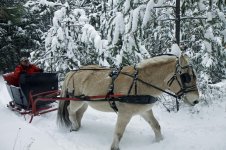 sleigh 3.jpg