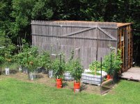 Back Garden.jpg