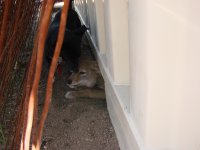 DSC01936.JPG