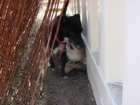 DSC01746.JPG