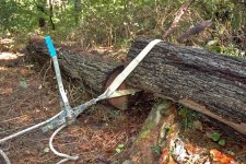Log Winch-Skidder.jpg Log Winch-Skidder.jpg
