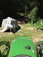 image-3323337955.jpg