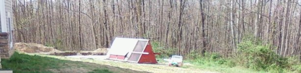 duck house.JPG