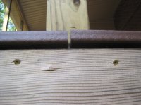 IMG_3131.JPG
