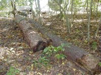 547040-20-25feet.jpg