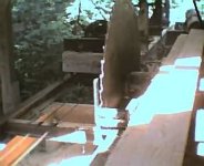 415219-Saw mill pics06.jpg
