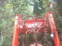 459424-trailfallbranch.jpg