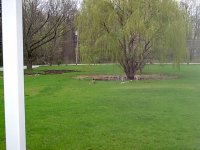 415569-IM000014.JPG