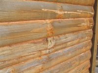 505024-logs.jpg