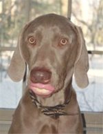 587501-ferrous_lips (373 x 480).jpg