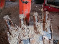 547748-bucket (512 x 384).jpg
