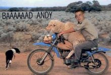 505156-baaaadandy.jpg