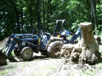 369989-Bigstump2.jpg