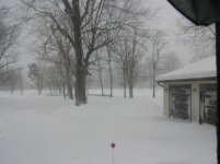 370011-early morning snow.jpg