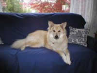 416014-Buddy4.JPG
