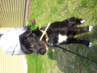 20120416_172456.jpg