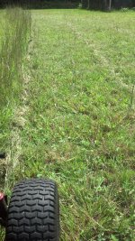 GrassStalks.jpg