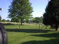 Picture 004.jpg
