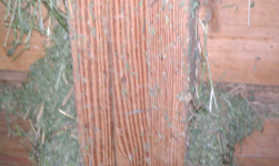 ForumRunner_20120823_115453.png