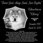 Chewy723.jpg