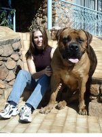 Ho Lee Shitt.jpg