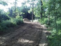 Driveway 62012a.jpg