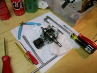 DSCN4353.JPG