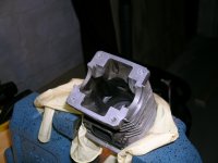 DSCN4390.JPG