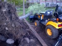IMG-20120530-00006.jpg