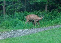 DSC_0024.JPG
