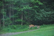 DSC_0031.jpg