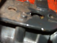 DSCF3697.jpg