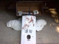 IMG-20120722-00617.jpg