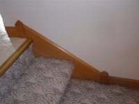 P6270003 (Medium).JPG