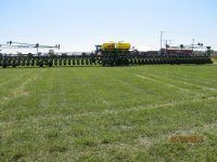 planter 005.JPG planter 005.JPG