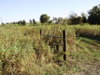 farm pictures 008.jpg