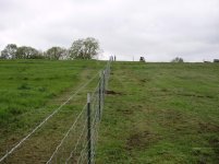 trip to farm 4 30 2012 016.jpg