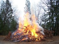 burn pile[1].jpeg