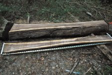 First Look at Lumber.jpg