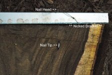Bracket and Nail Labelled.jpg