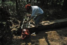 Mom Finishing The Log.jpg