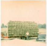 Dad hauling hay.JPG