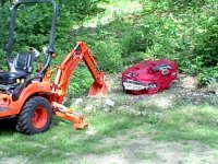 Kubota BX25 & T Rex.jpg
