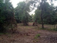 IMG_0391.jpg