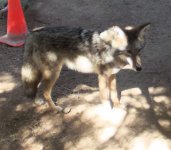 DSCF5274.JPG