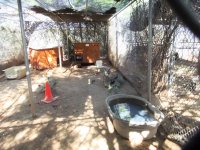 DSCF5278.JPG