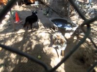 DSCF5290.JPG